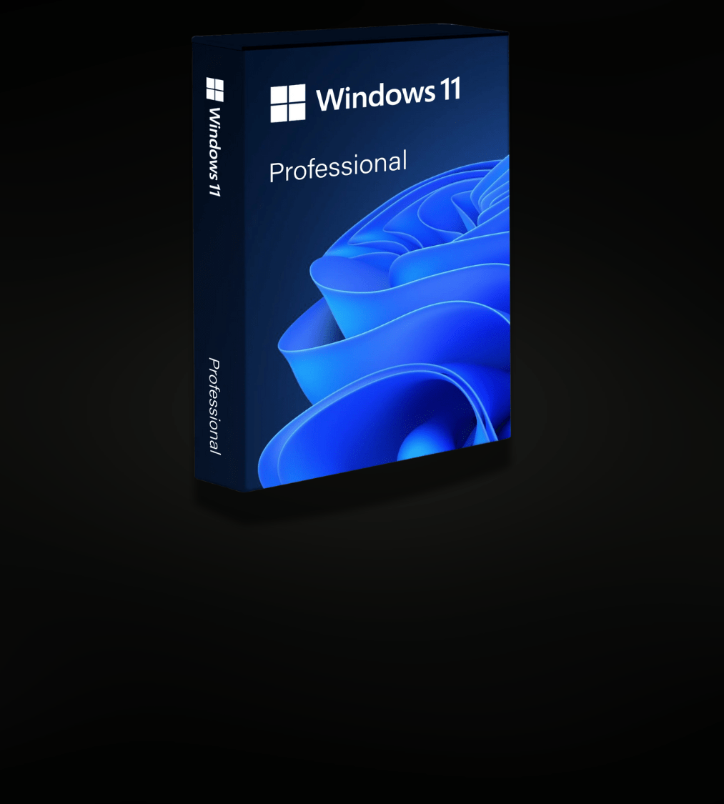 Windows 11 pro
